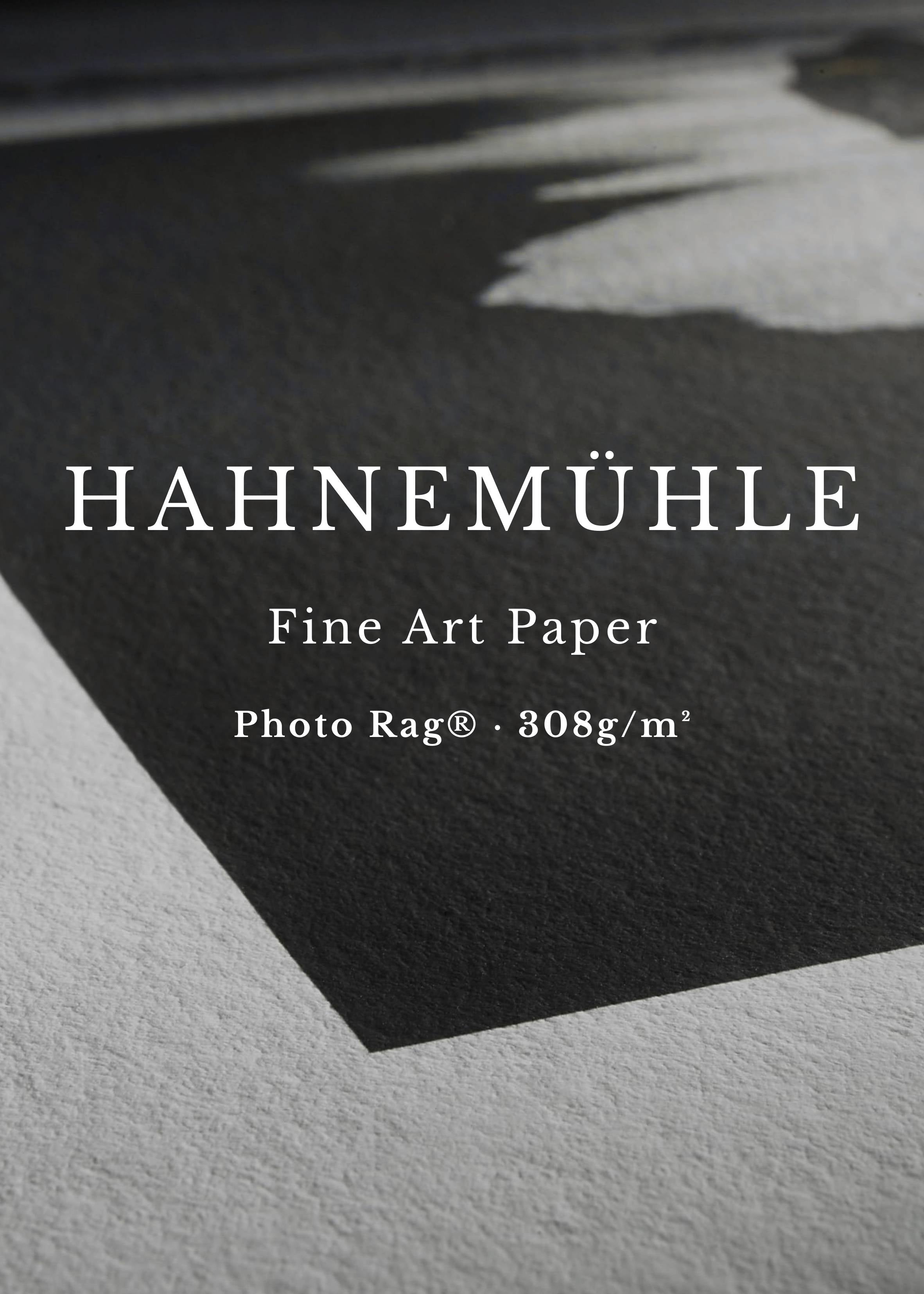 Kungsörn